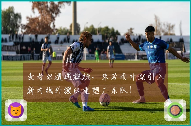 麦考尔遭遇尴尬，朱芳雨计划引入新内线外援以重塑广东队！