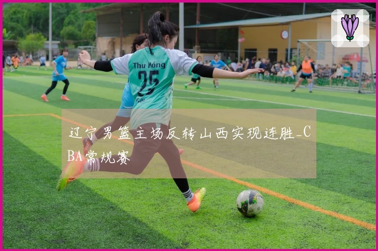 辽宁男篮主场反转山西实现连胜_CBA常规赛